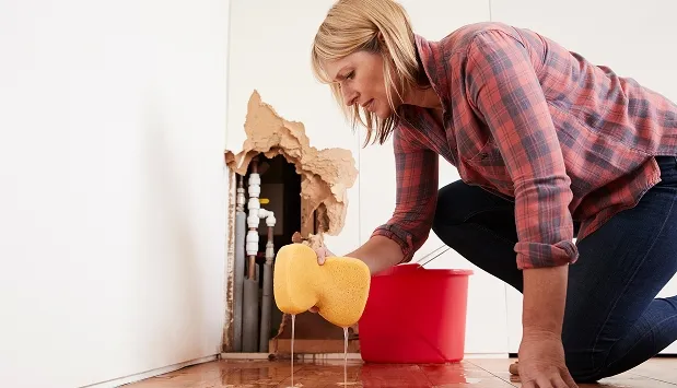 Cleaning & Sanitizing