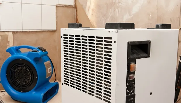 Drying & Dehumidification 