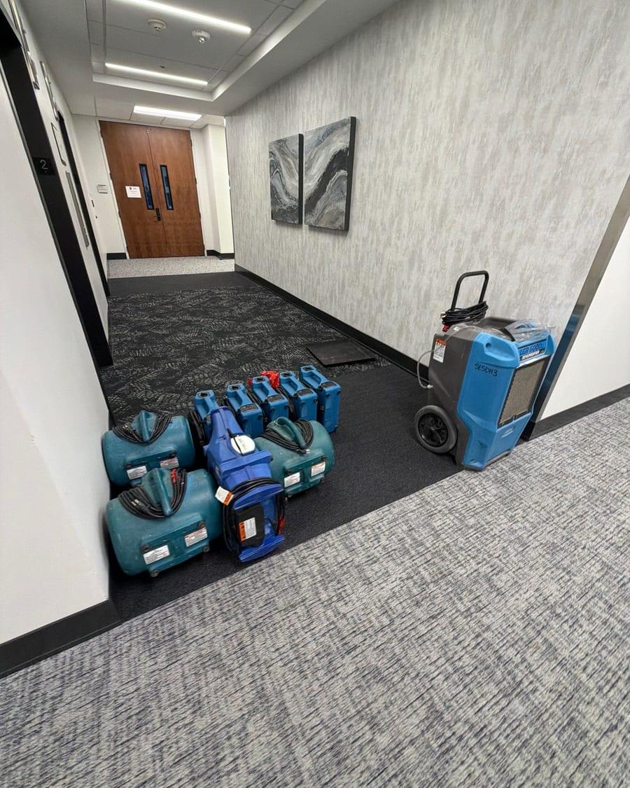 Dehumidifiers and air movers staged in an office building hallway