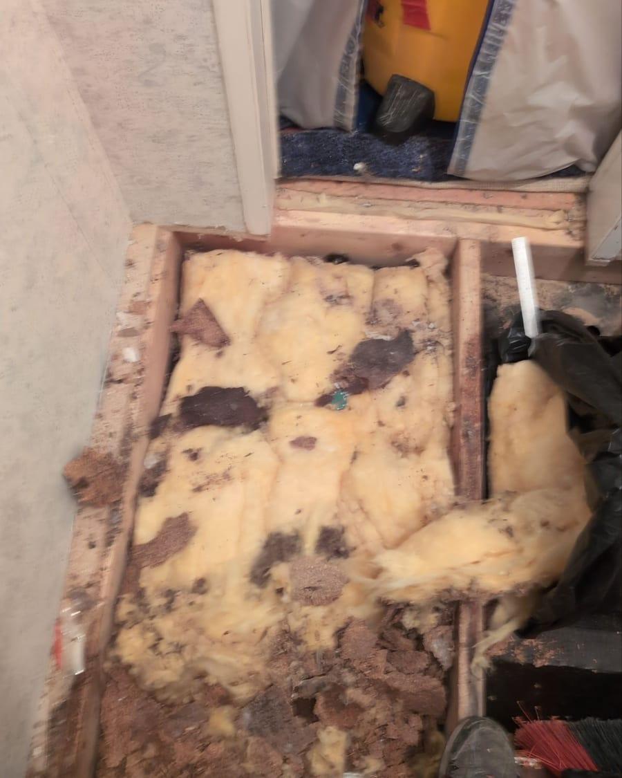 Stained insulation exposed under an opened floor