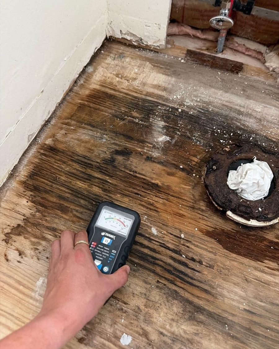 A moisture meter taking a reading on a water-stained subfloor