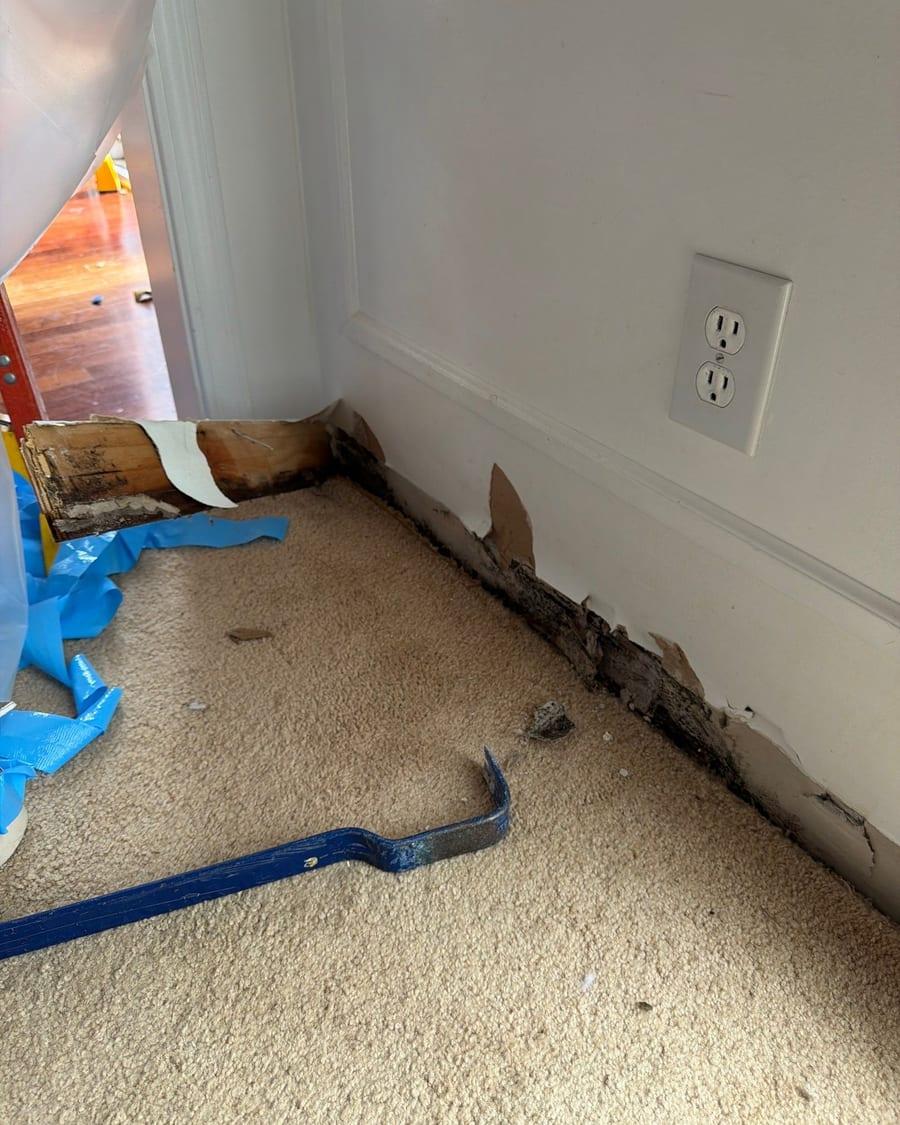 Mold staining along a wall base after the baseboard was removed
