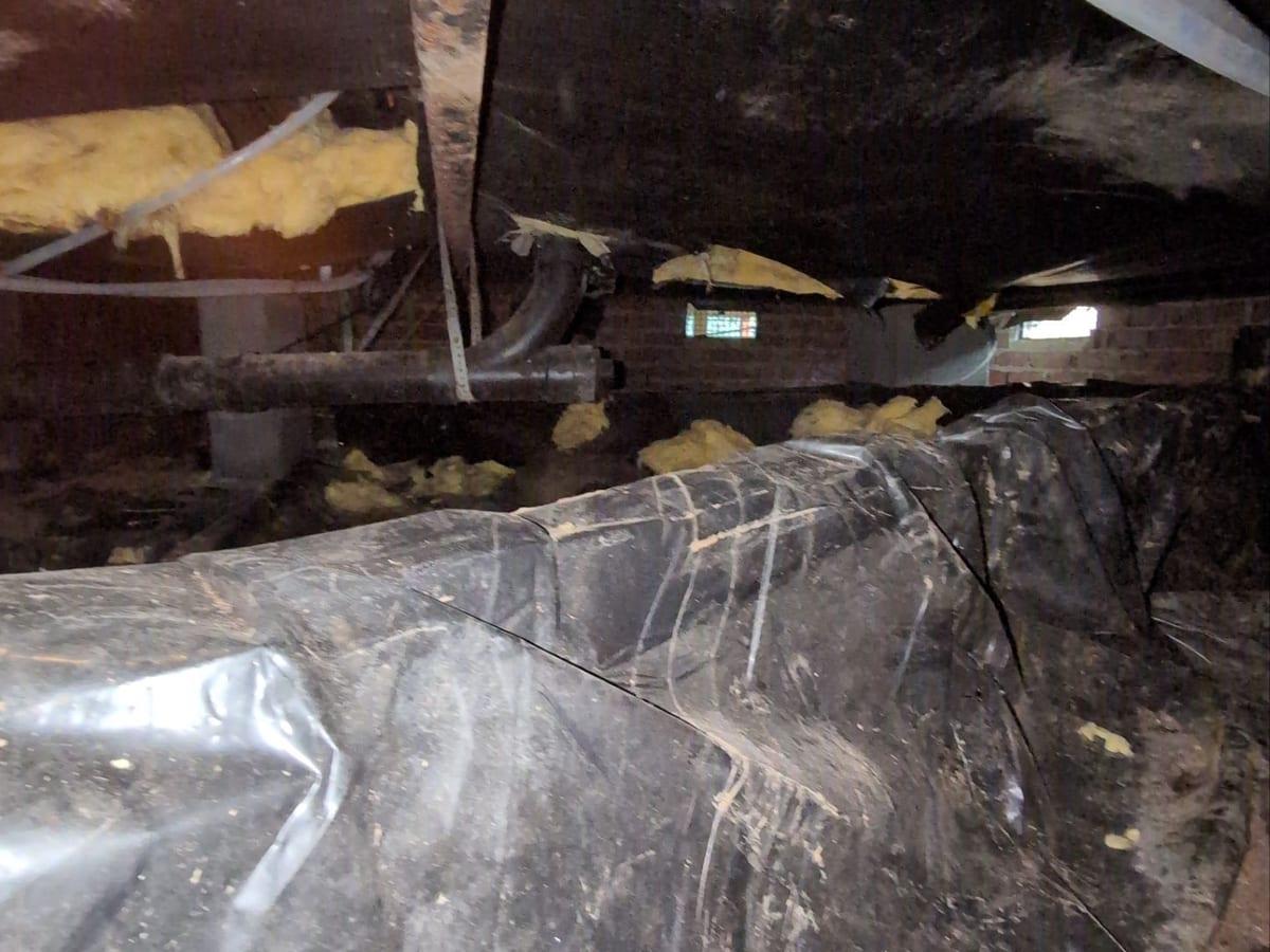 A damaged vapor barrier and fallen insulation in a crawl space