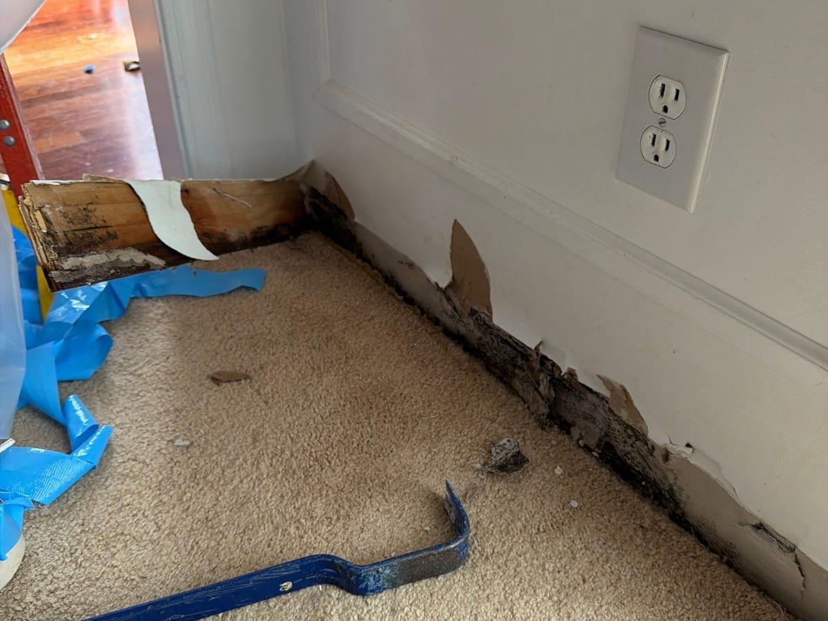 Mold staining found along a wall base after the baseboard was removed