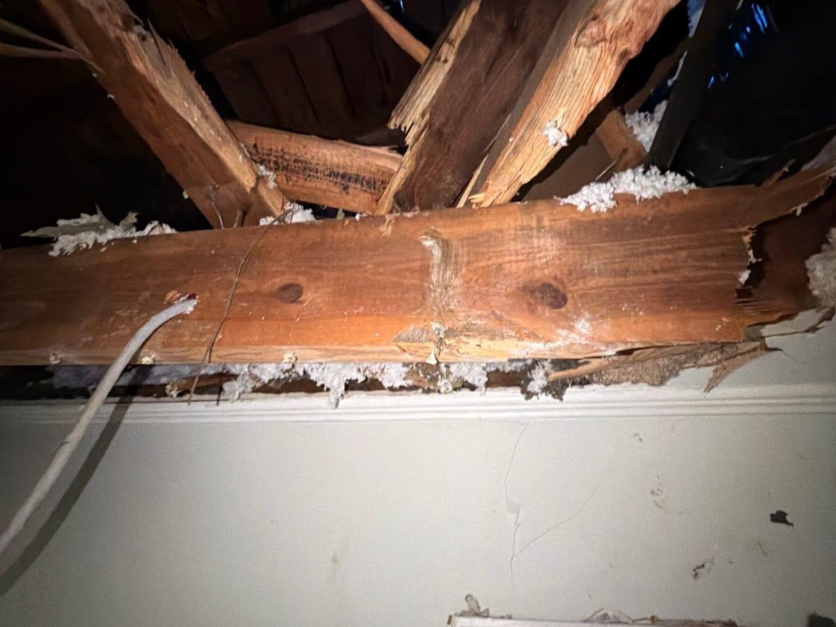 Storm damage that opened a ceiling down to the framing