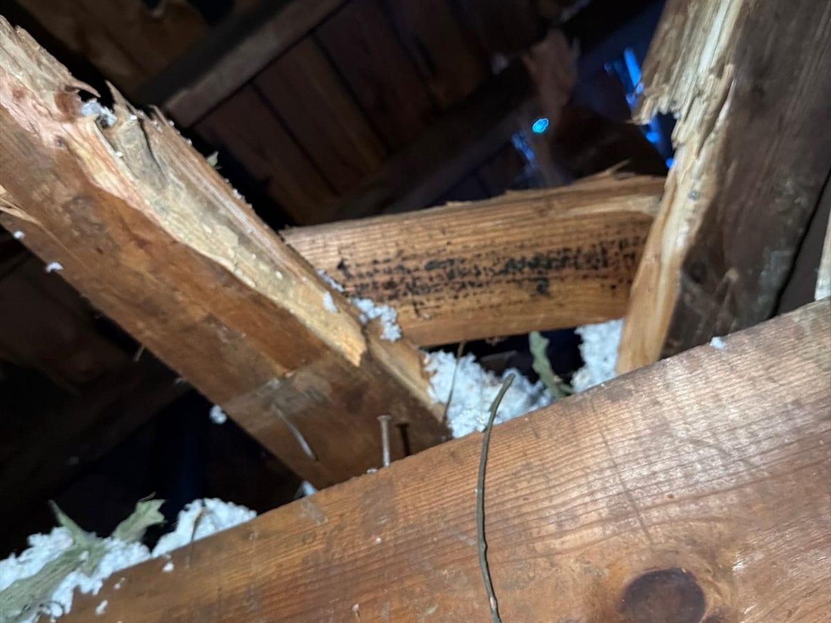 Broken ceiling framing after a storm, before repairs