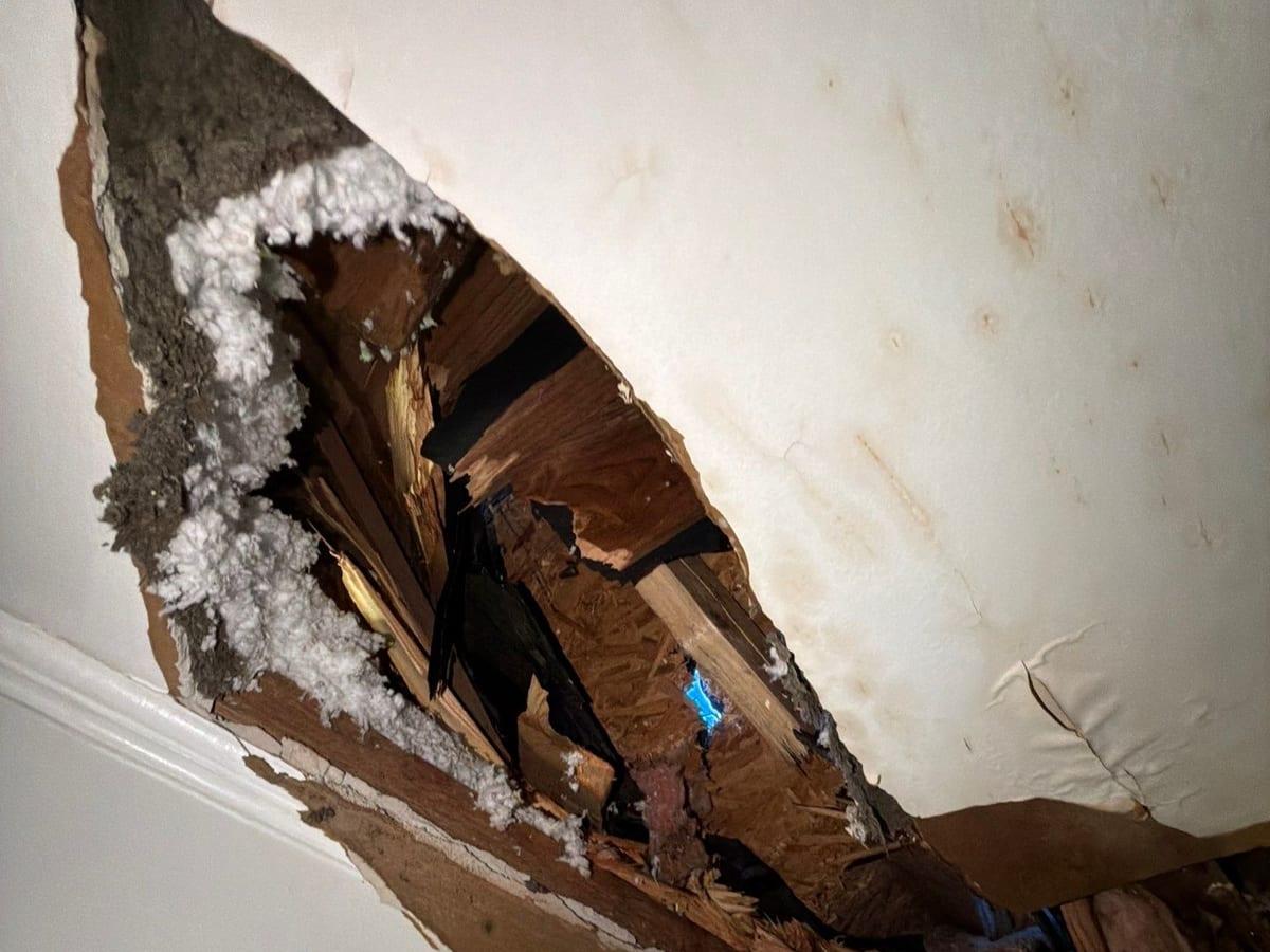 A ceiling torn open after storm winds, with insulation and debris exposed