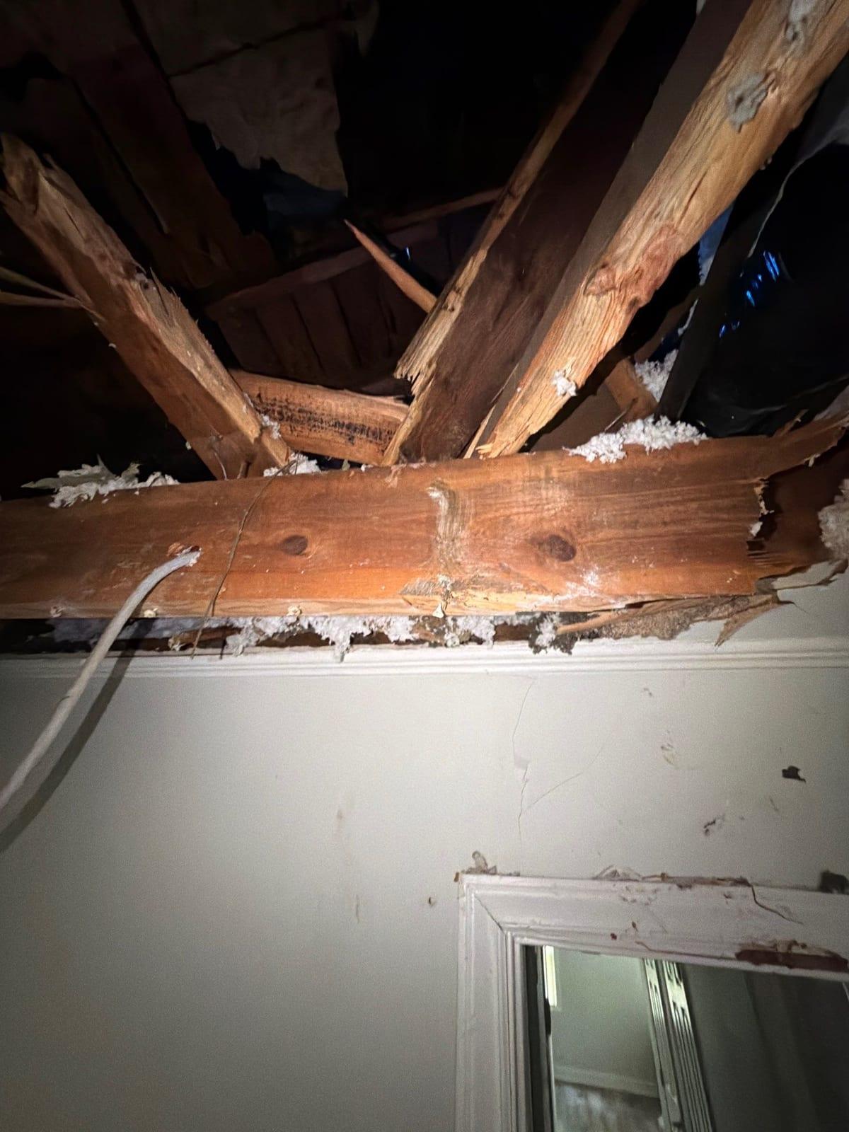 A ceiling opened down to the framing after storm damage
