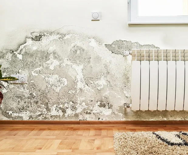 Water Damage Restoration